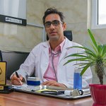 حمید شمسی باغبانان